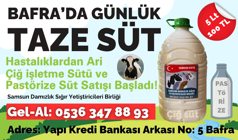 Bafra'da Günlük taze Süt Satışı Başladı! - Samsun Damızlık ve Sığır Yetiştiricileri Birliğinden Bafra'da taze süt satışı başladı.